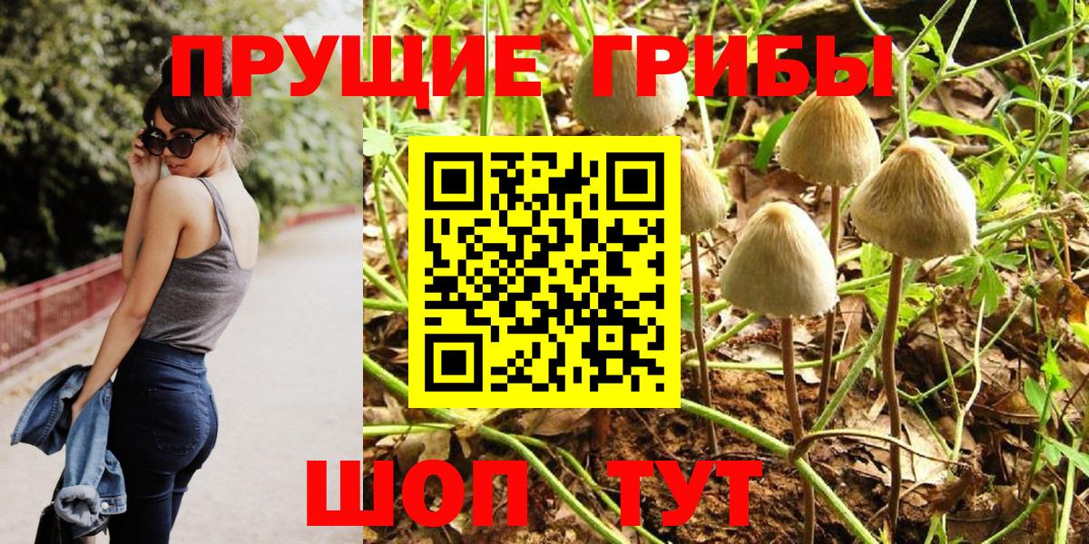 Киселёвск  Псилоцибиновые грибы MAGIC MUSHROOMS  Вход с VPN 